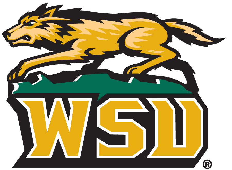Wright State Raiders 1997-2013 Secondary Logo iron on transfers for clothing